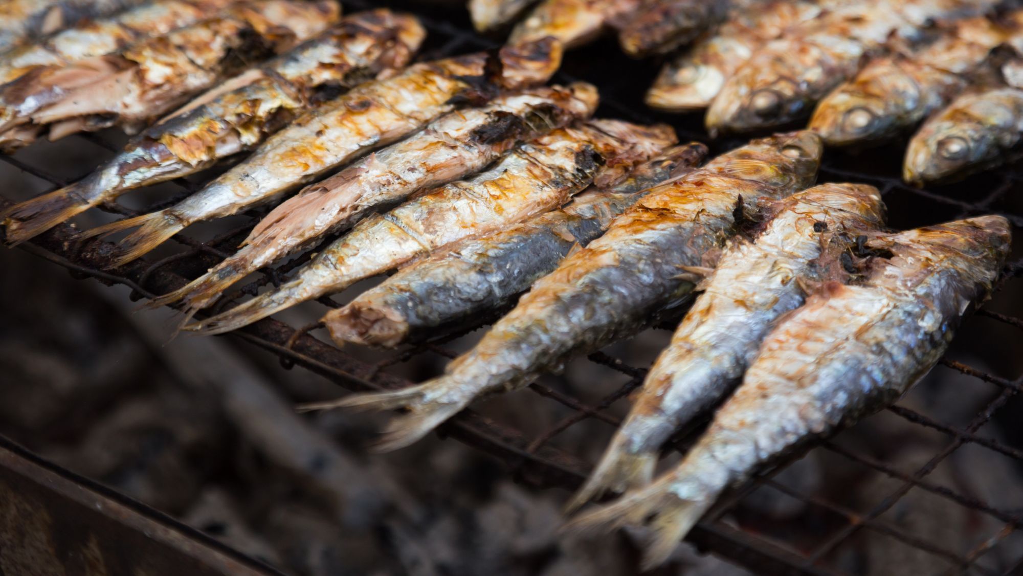 Pescado del Cantábrico en San Vicente