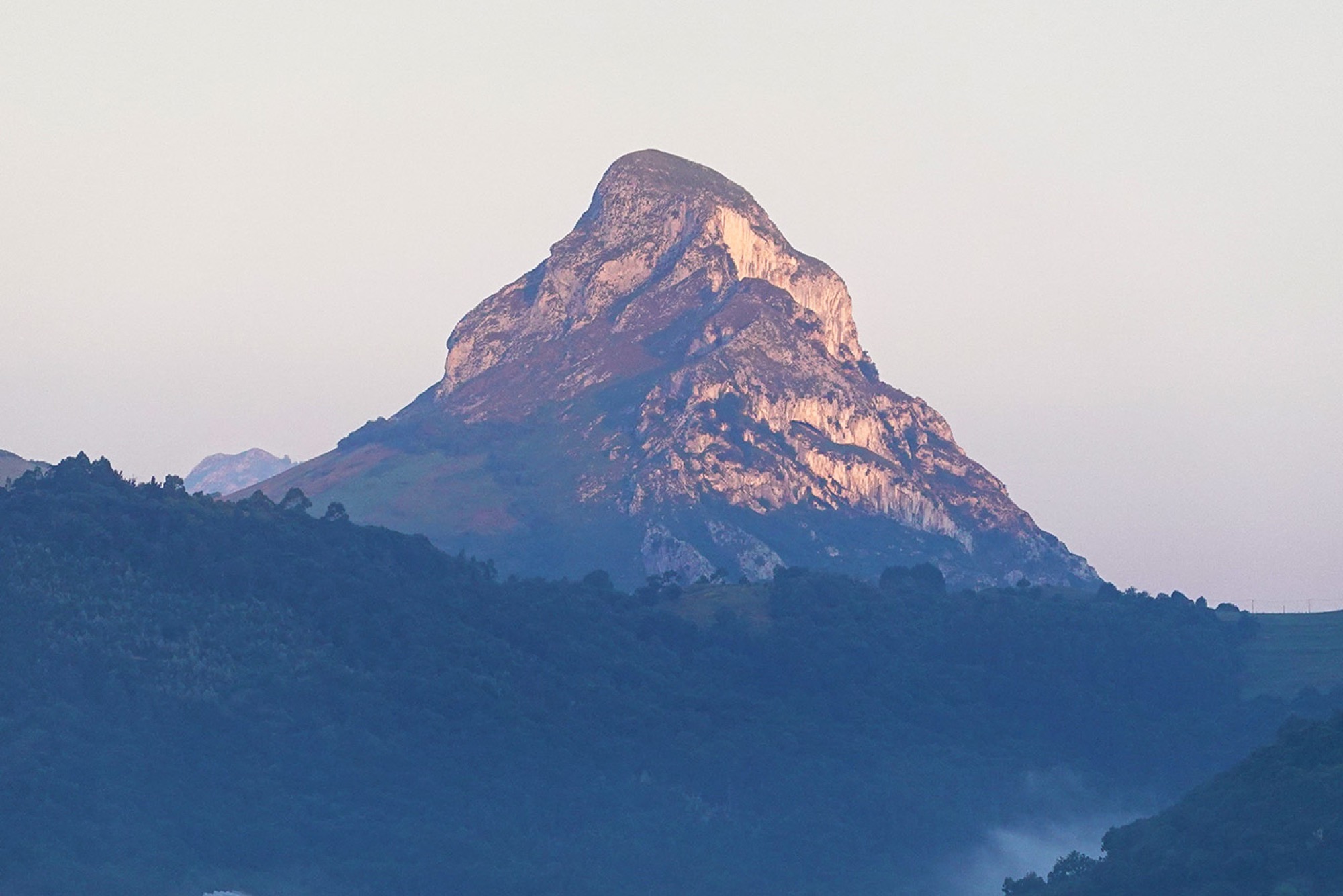 Pica Peñamellera
